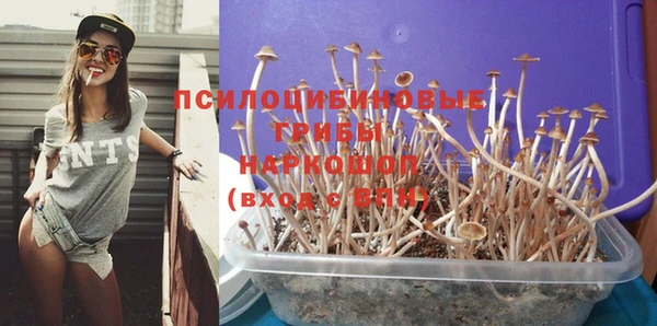 гашиш Абаза