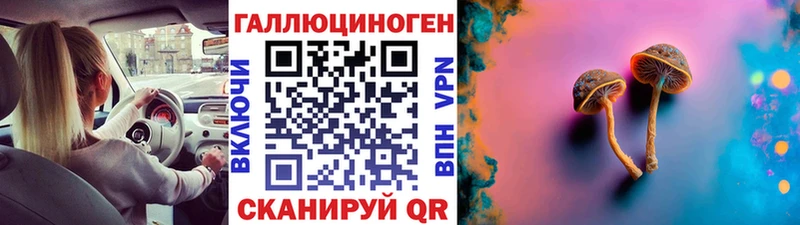 Галлюциногенные грибы Psilocybe  Шилка 